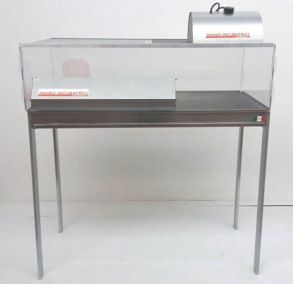 Allevatrice HAPPY CHICKS II